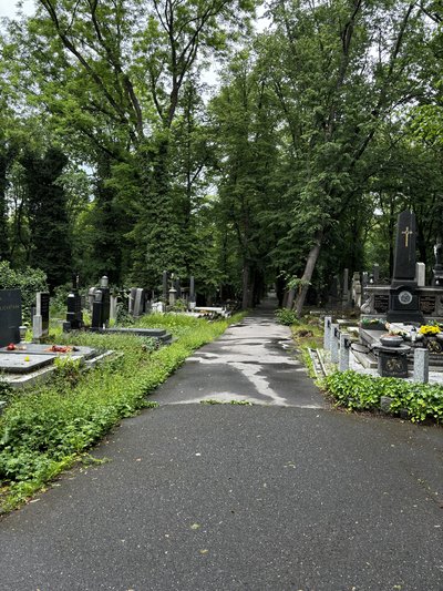 Olšany Cemetery    